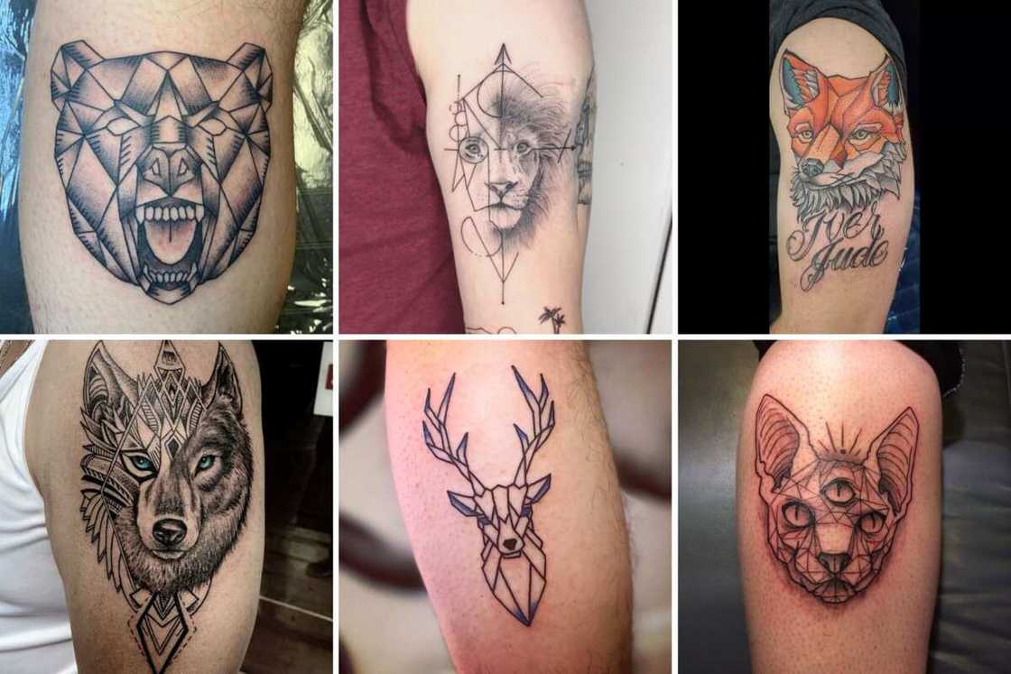 animal tattoos for men 0035