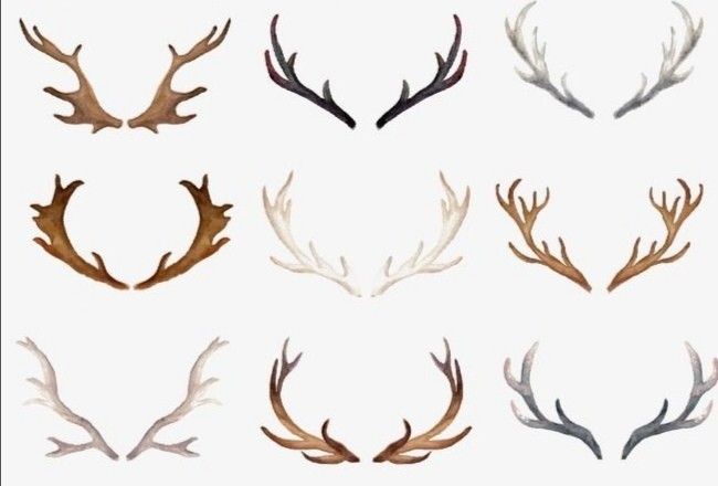 antler tattoos for men 0024