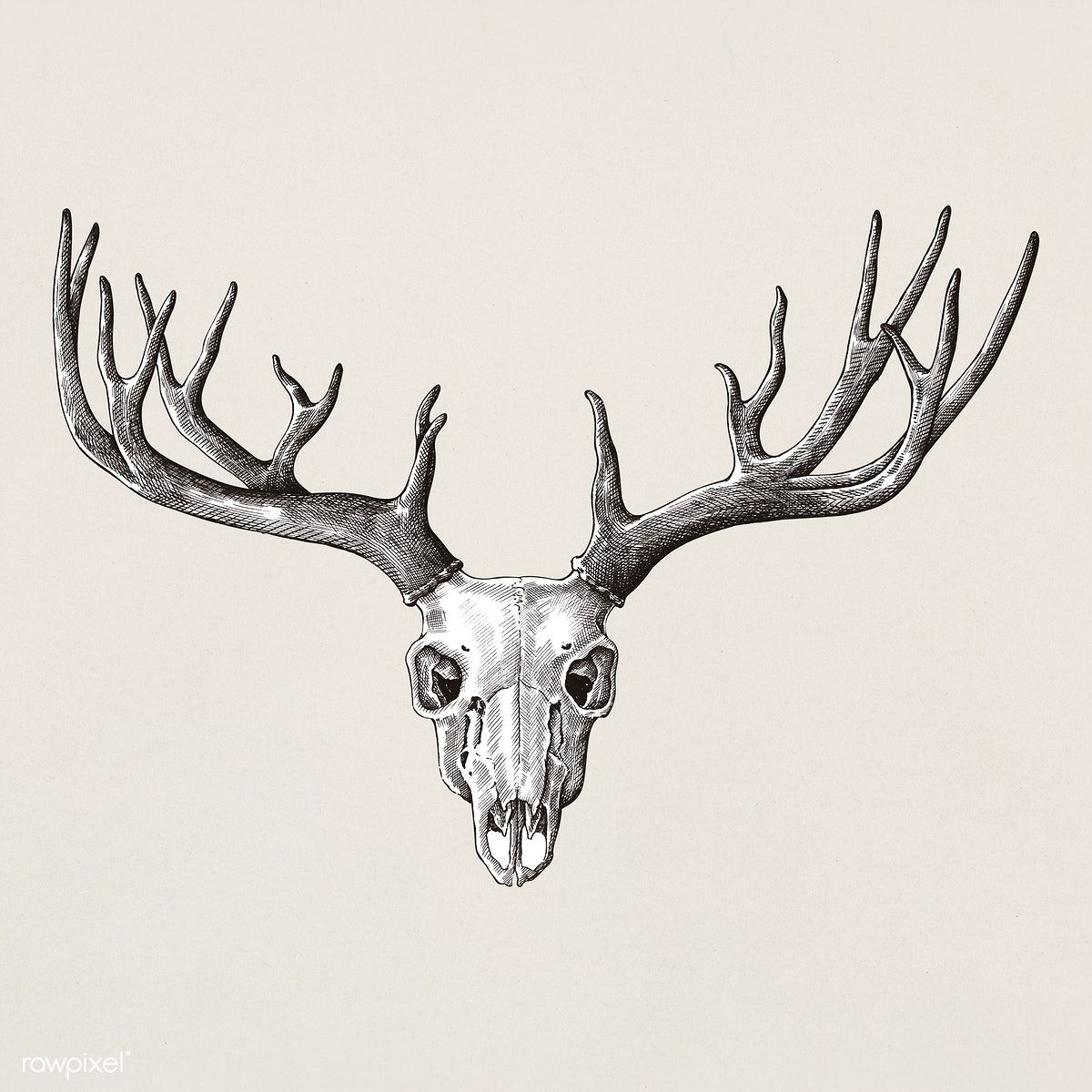 antler tattoos for men 0069