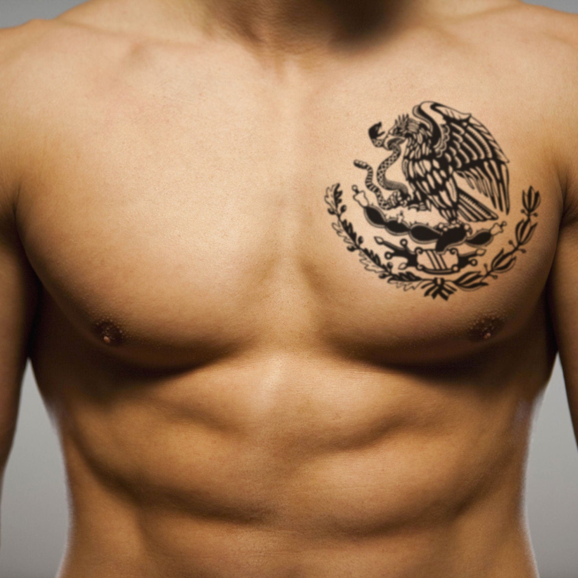 Aztec warrior chest tattoos for men 0093