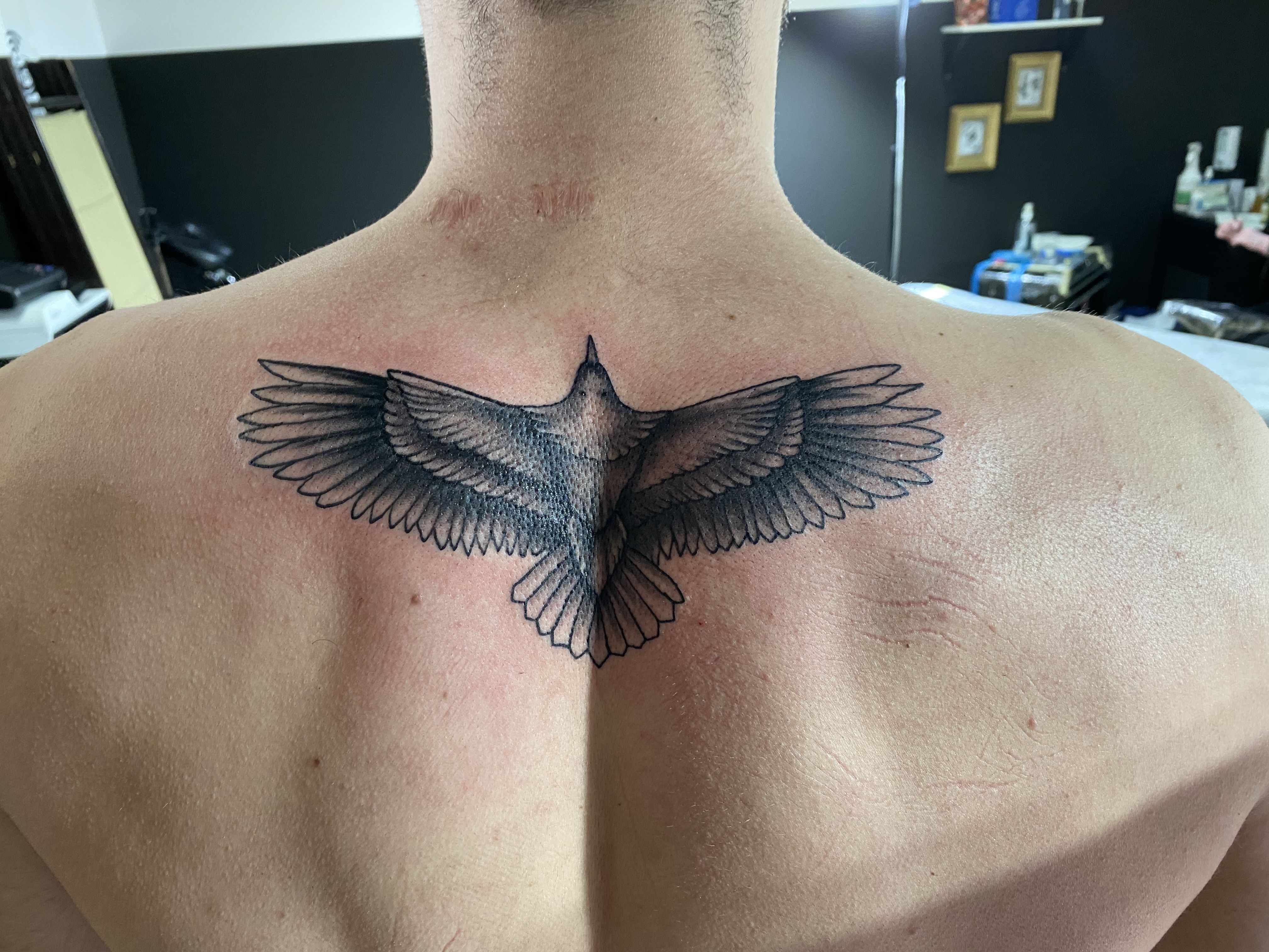 back eagle tattoos for men 0077