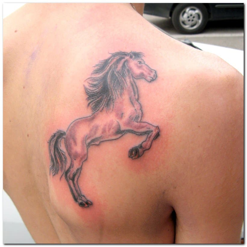 best horse tattoos for men ideas