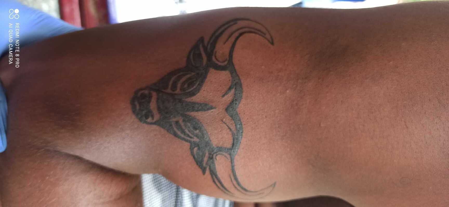 bull tattoos for men 0068