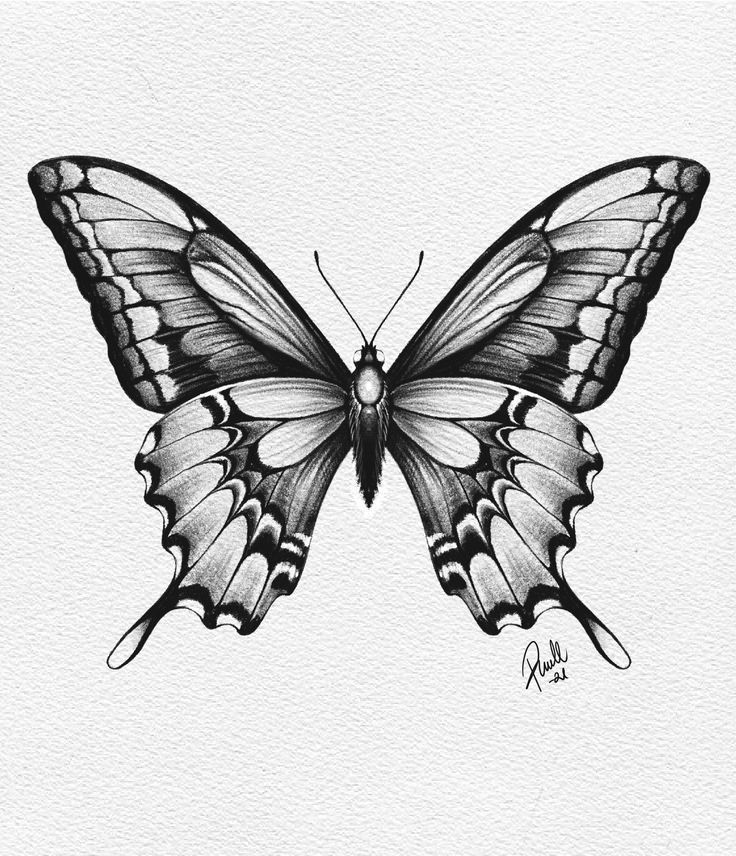 butterfly tattoos for men 0020