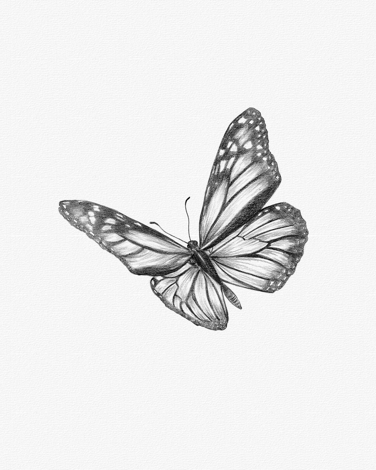 butterfly tattoos for men 0024