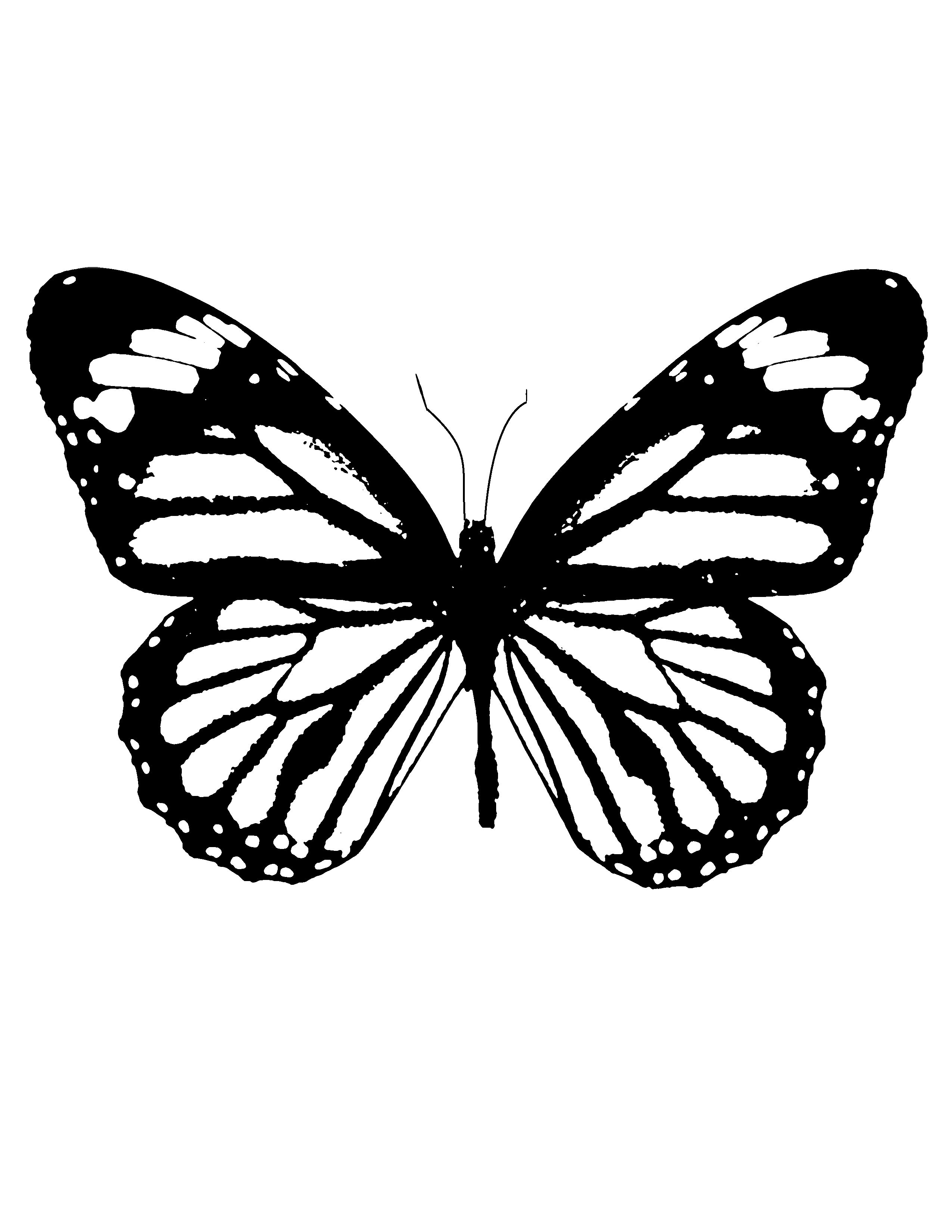 butterfly tattoos for men 0026