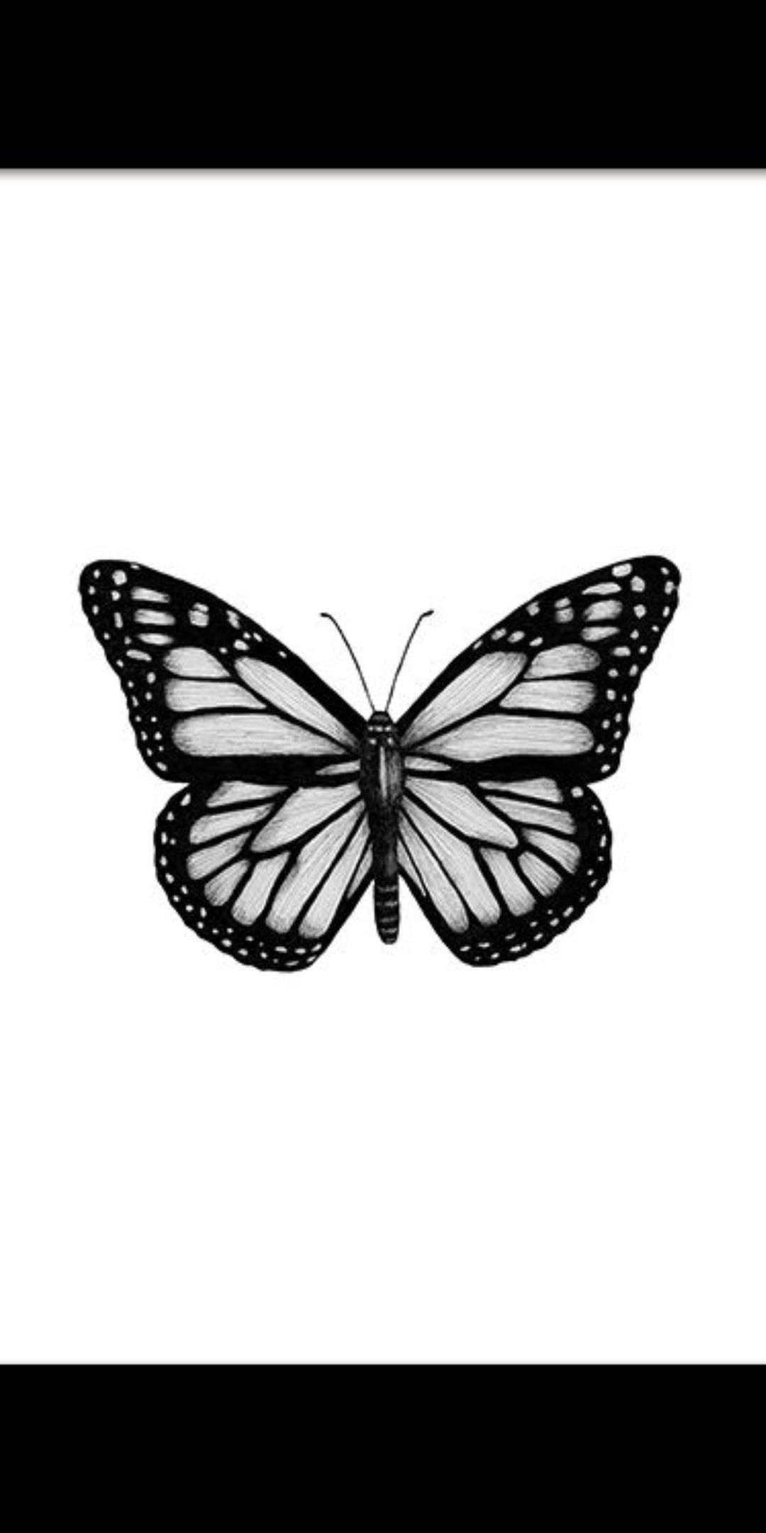 butterfly tattoos for men 0081