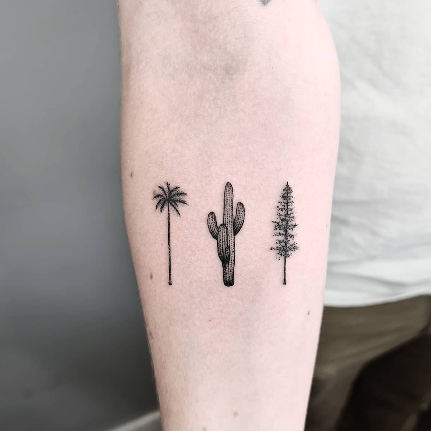 cactus tattoos for men 0024