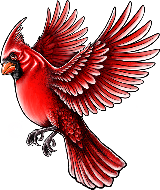 cardinal tattoos for men 0076