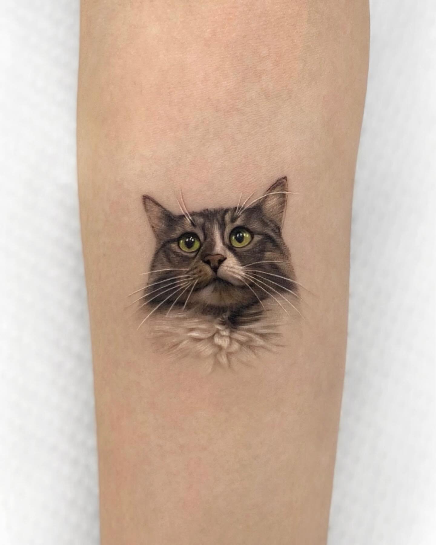 cat tattoos for men 0031