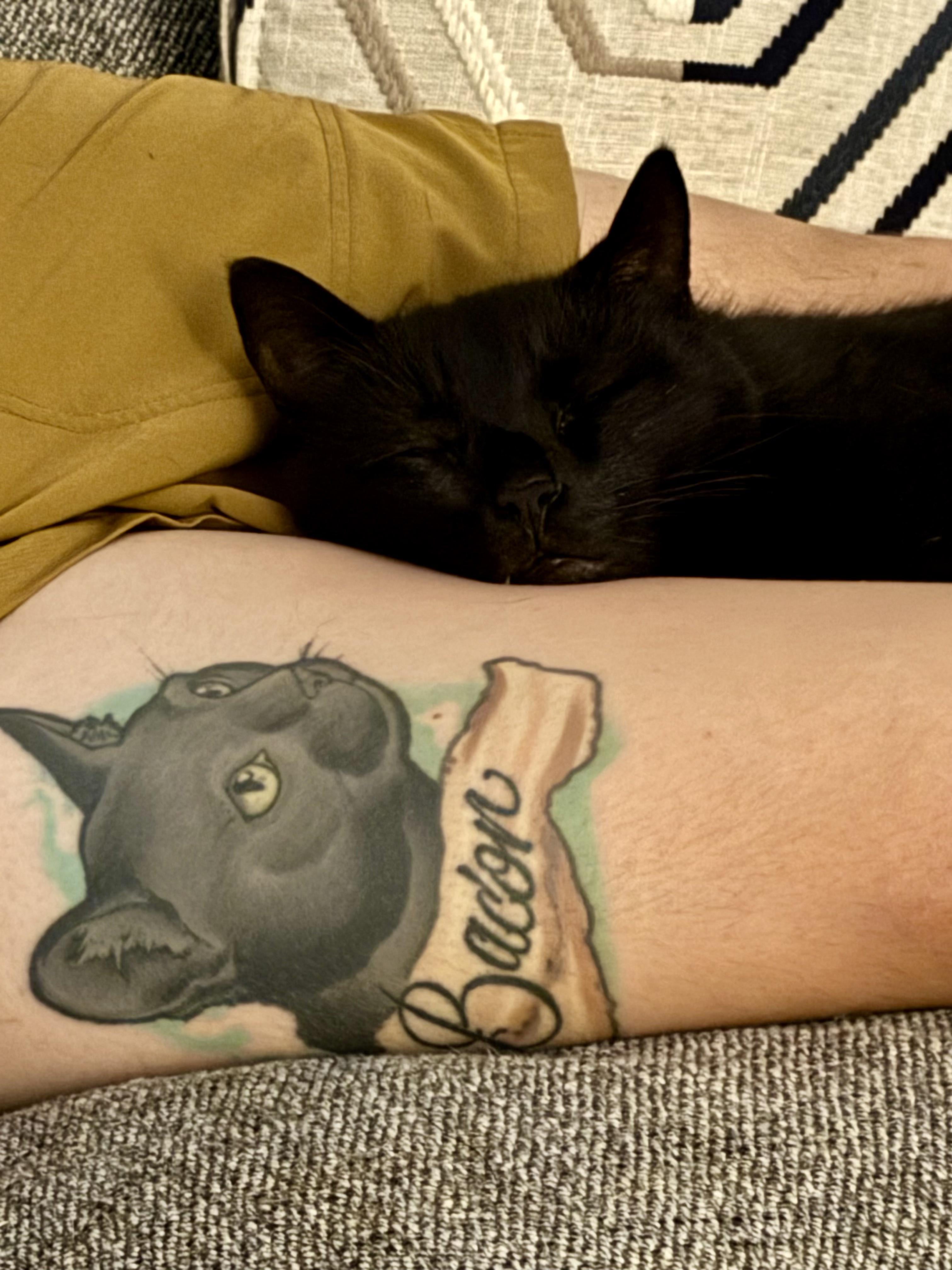 cat tattoos for men 0068