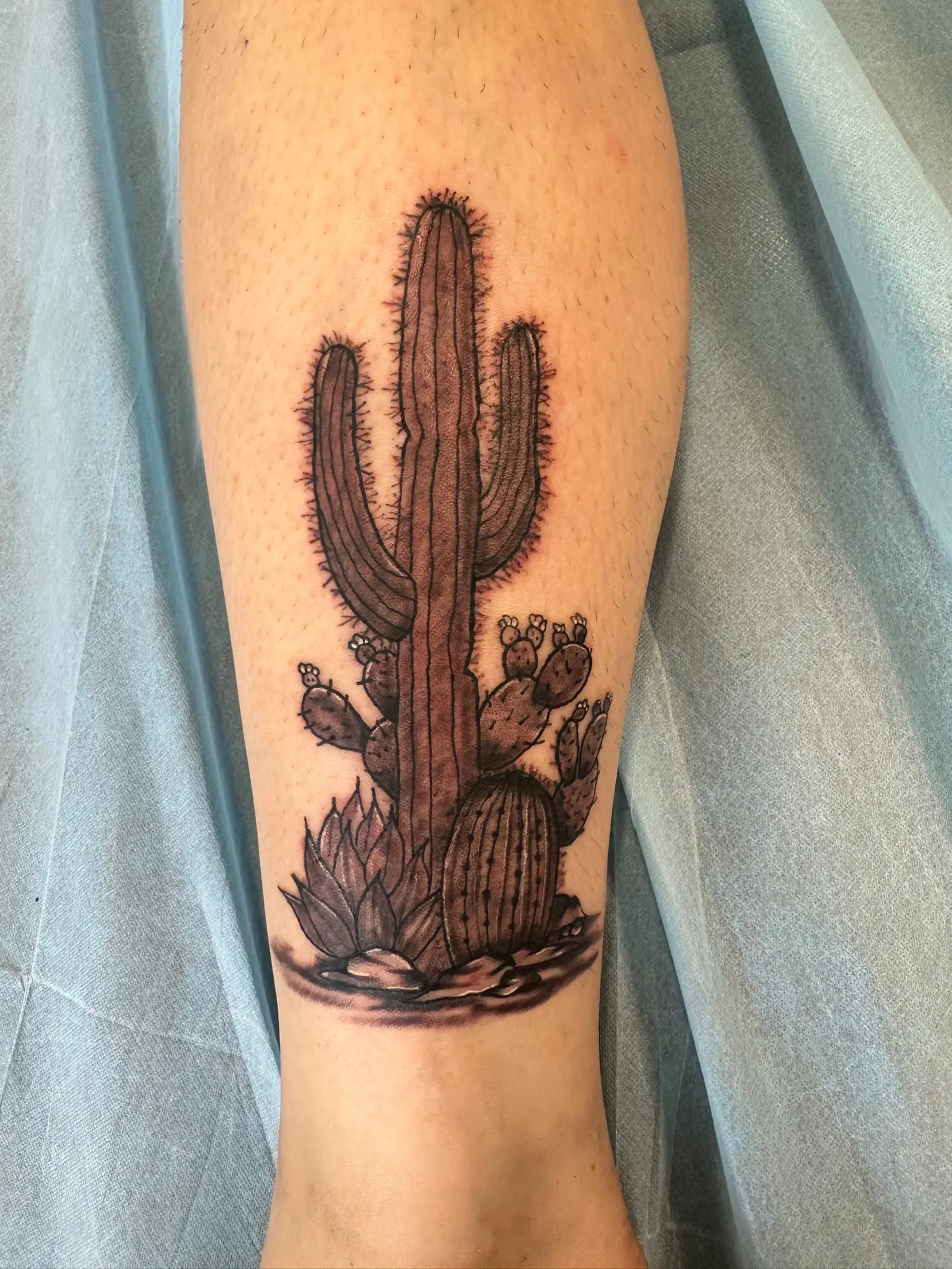 colorful cactus tattoos for men