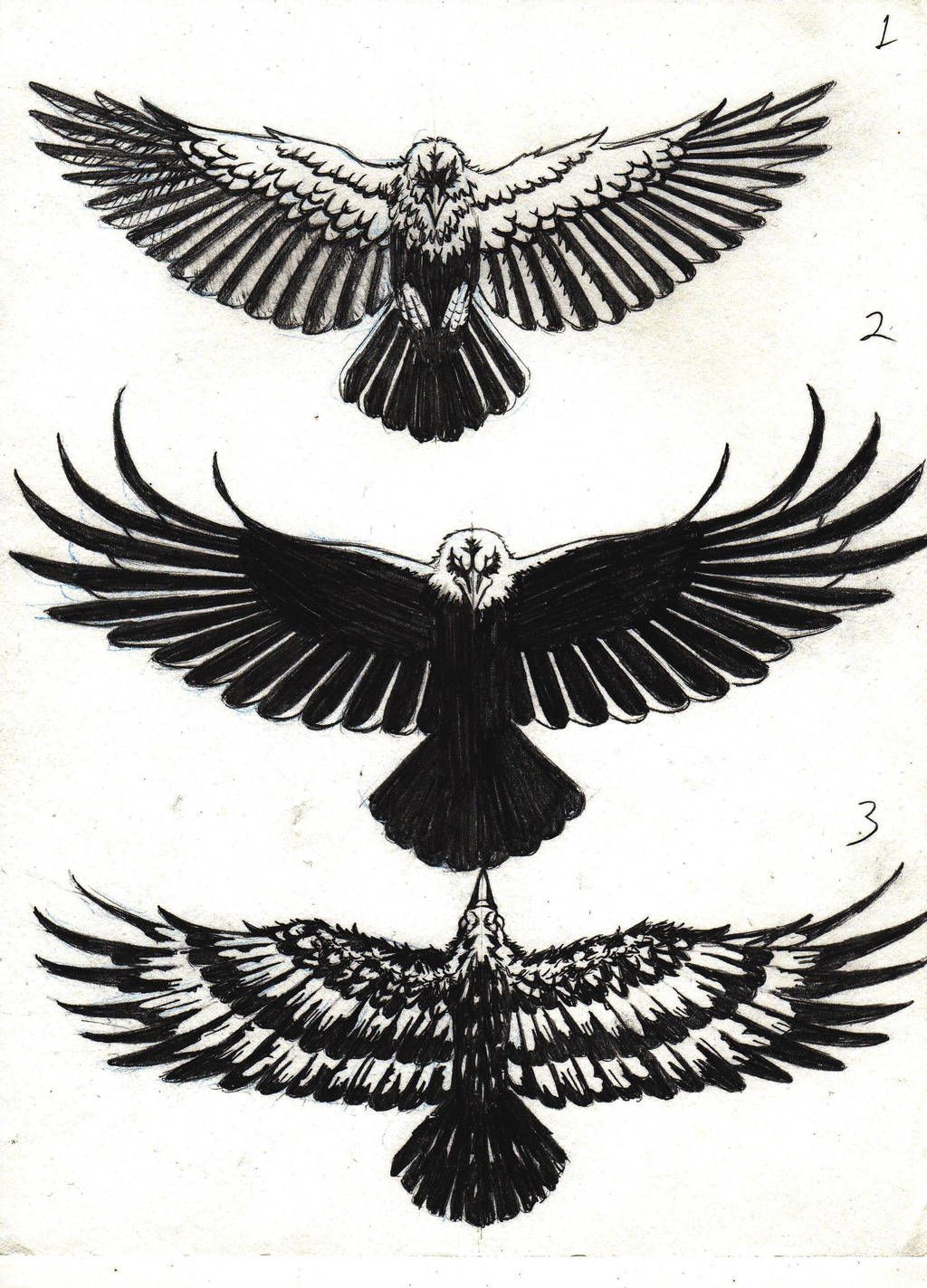 crow tattoos for men 0037