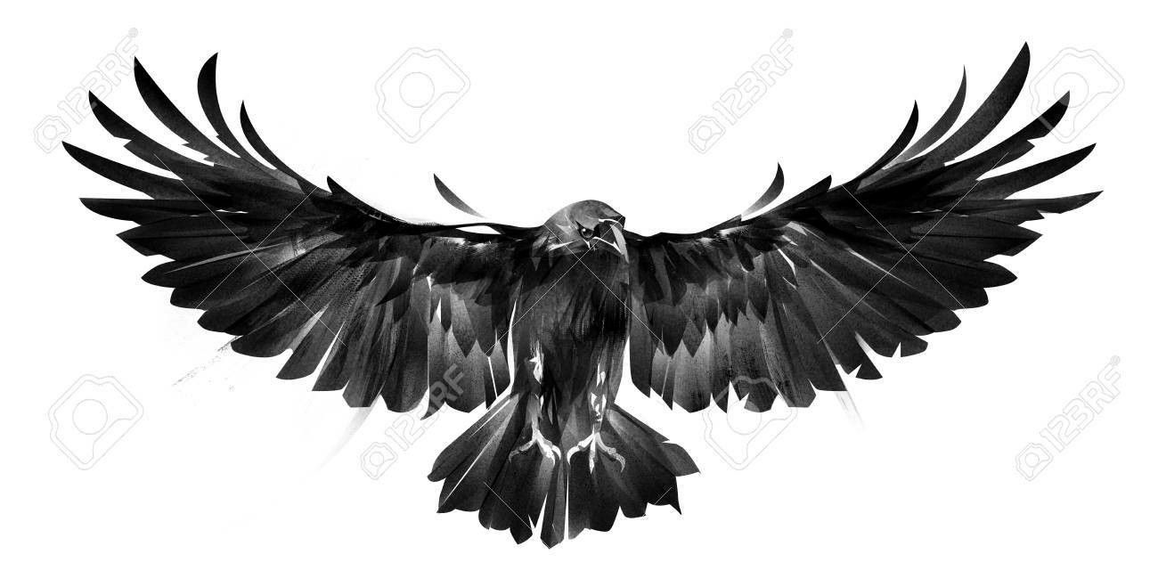 crow tattoos for men 0099