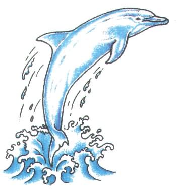 dolphin tattoo for men 0021