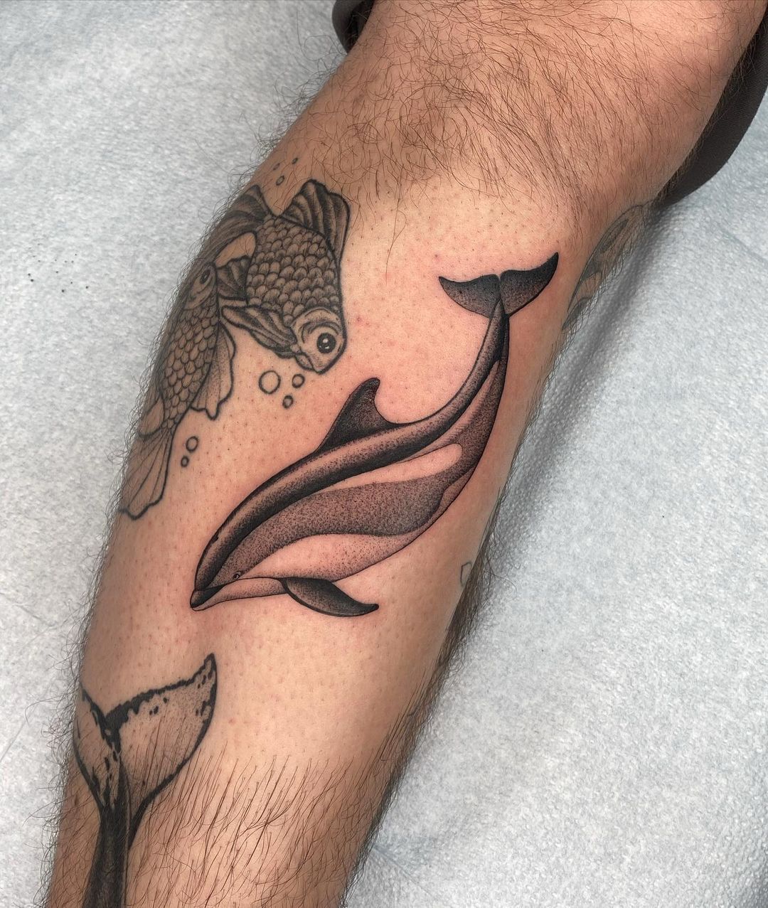 dolphin tattoo for men 0023