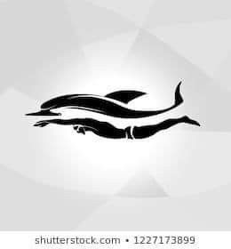 dolphin tattoo for men 0043