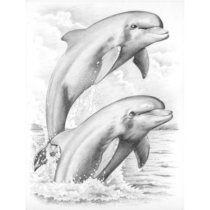 dolphin tattoo for men 0058