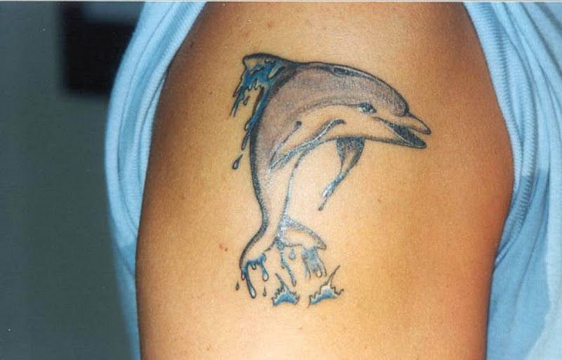 dolphin tattoo for men 0076