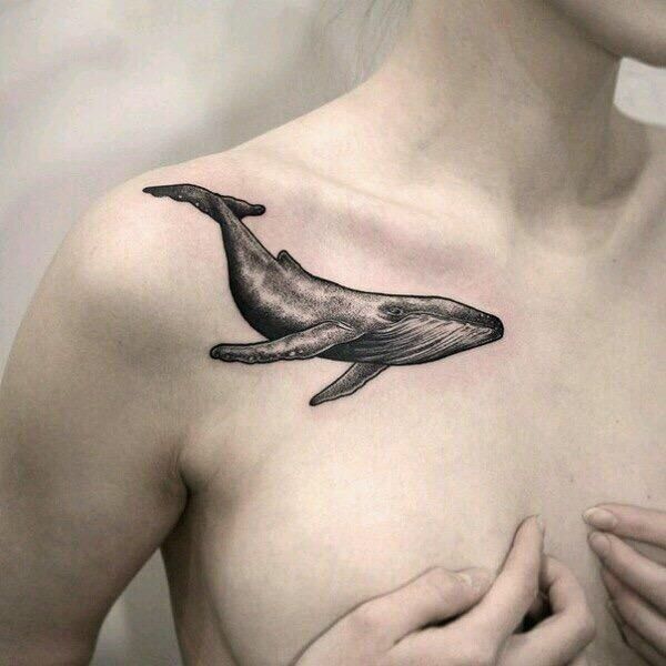 dolphin tattoo for men 0081