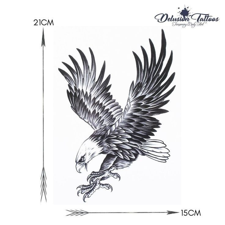 dove tattoos for men 0061