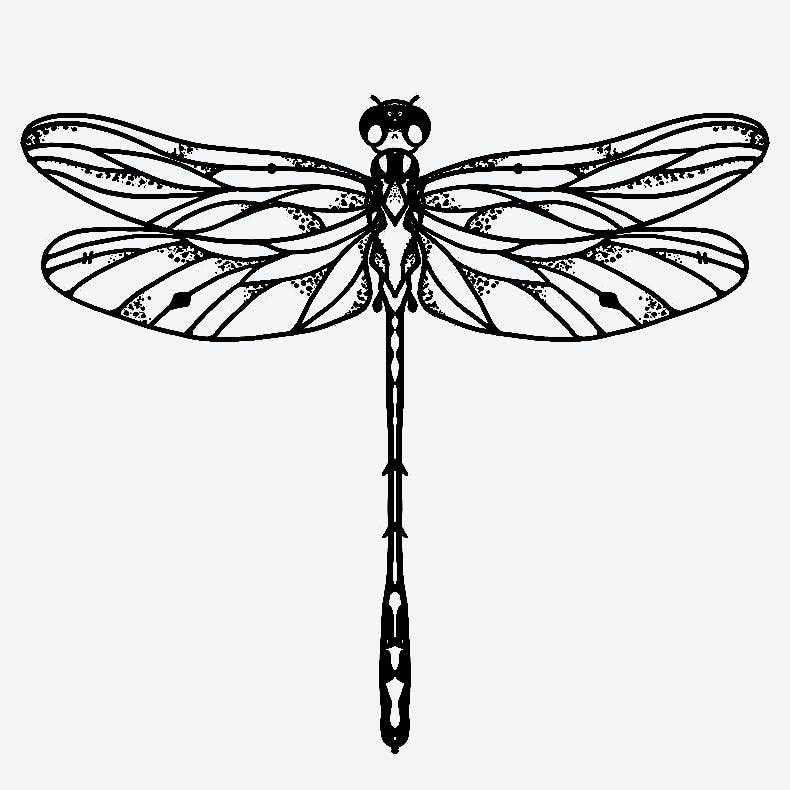 dragonfly tattoos for men 0057