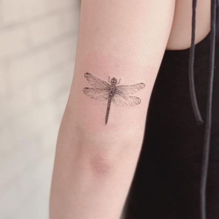 dragonfly tattoos for men 0064