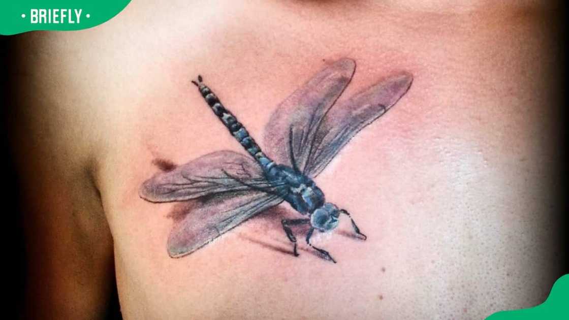 dragonfly tattoos for men 0070