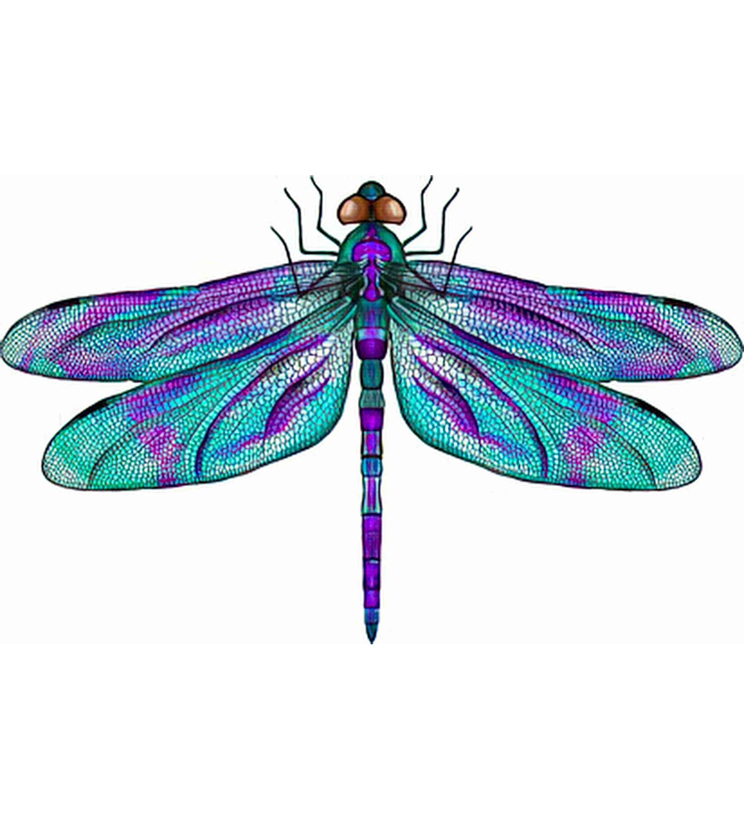 dragonfly tattoos for men 0089