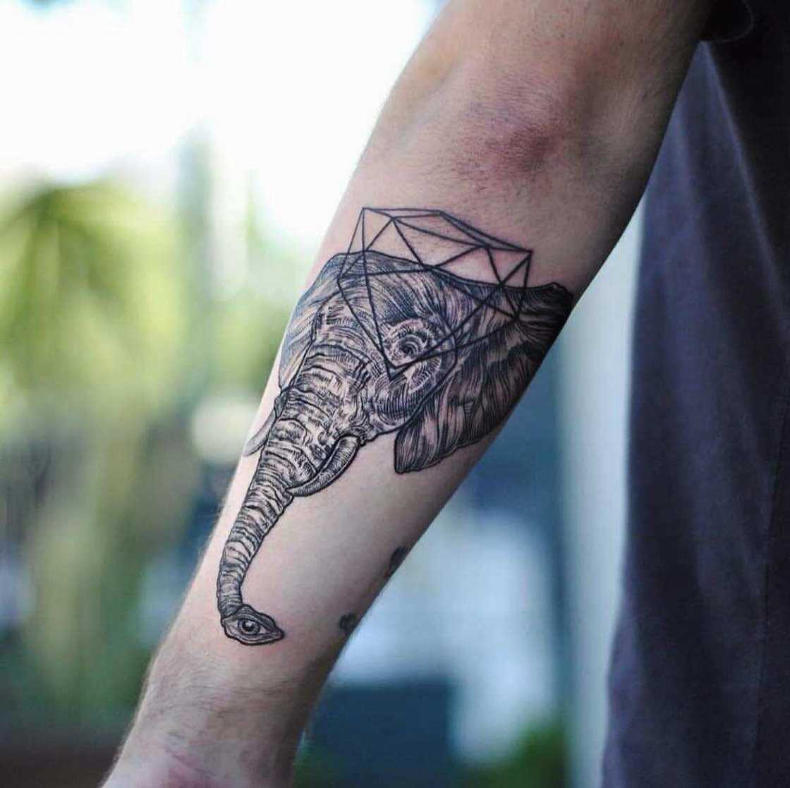 elephant tattoos for men 0026