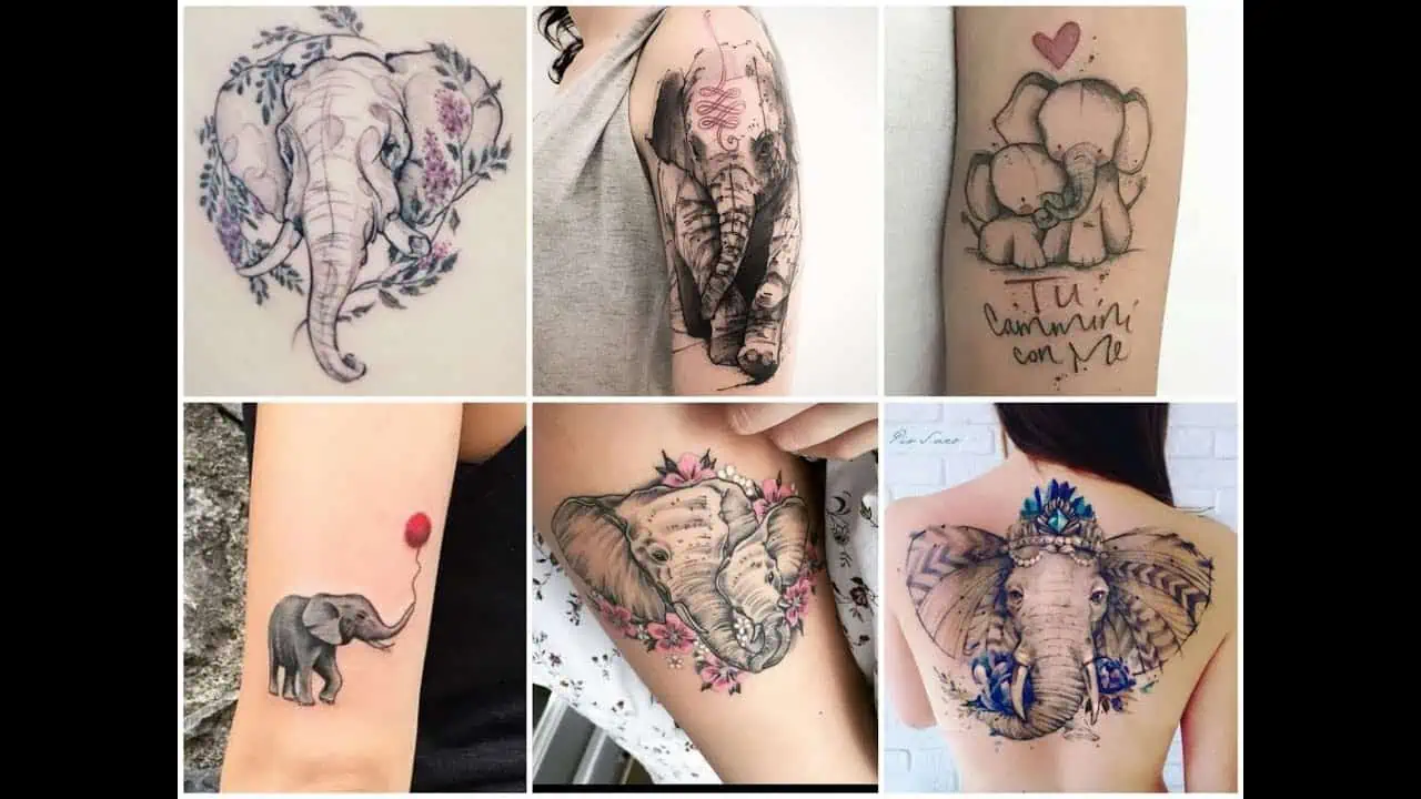 elephant tattoos for men 0055