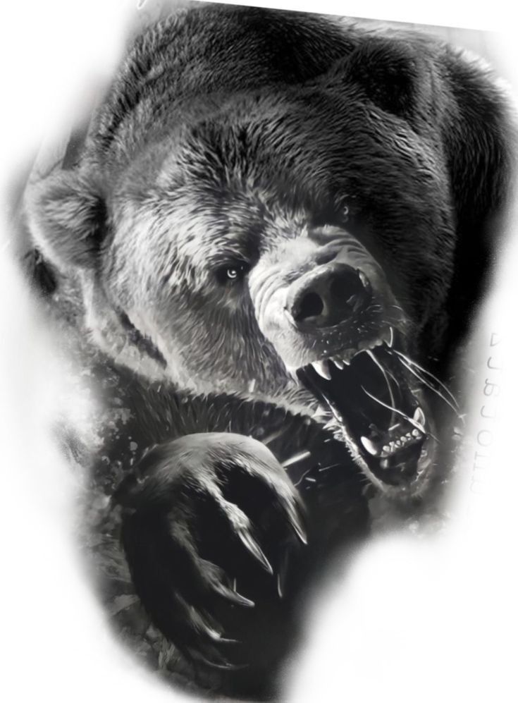 fierce bear tattoos for men