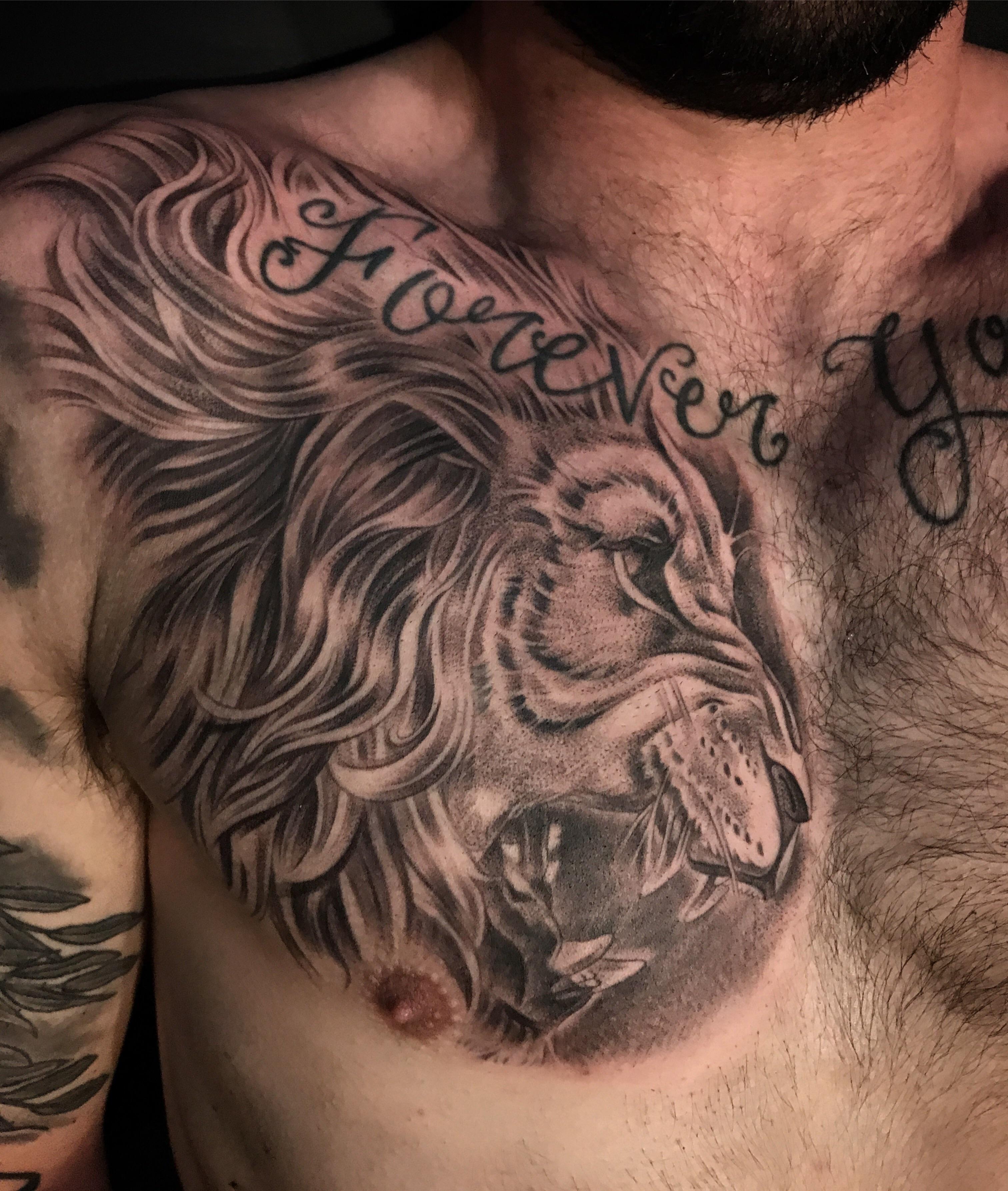 fierce lion chest tattoos for men