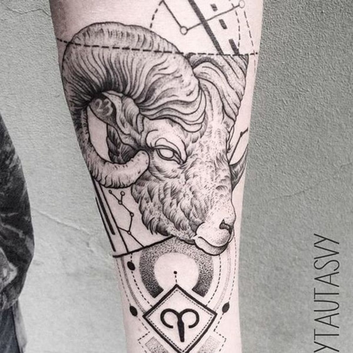 forearm aries tattoos for men ideas