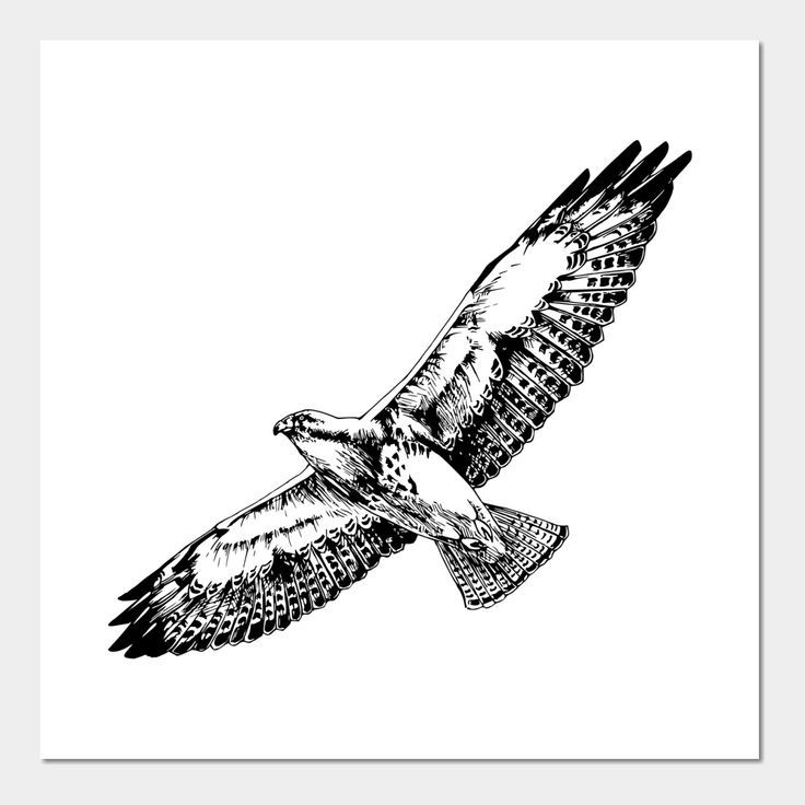 hawk tattoos for men 0010