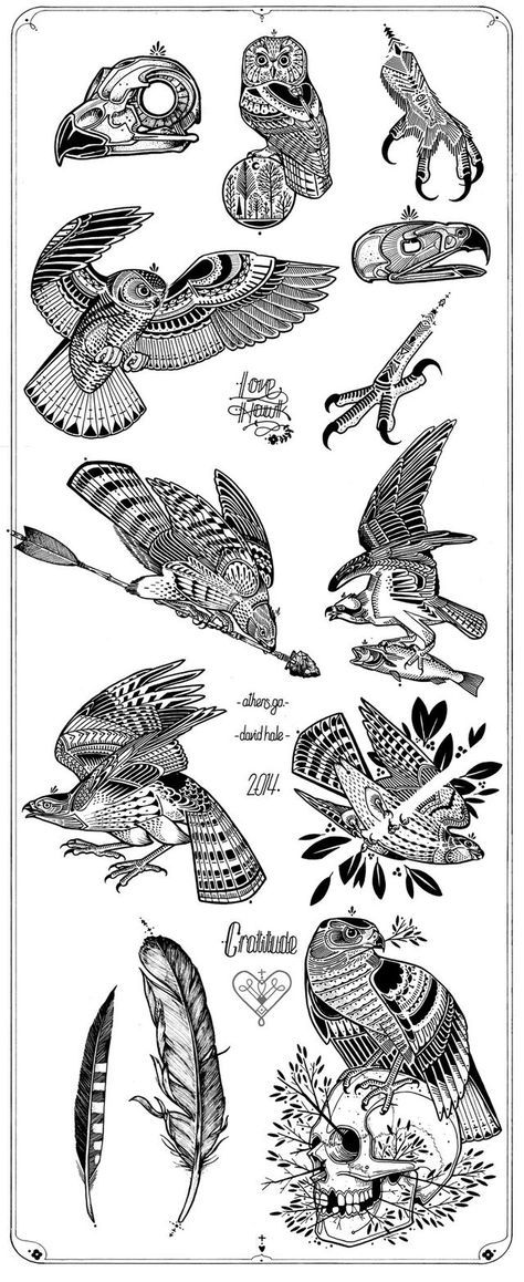 hawk tattoos for men 0023