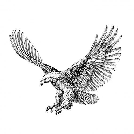 hawk tattoos for men 0028