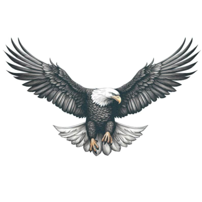 hawk tattoos for men 0038