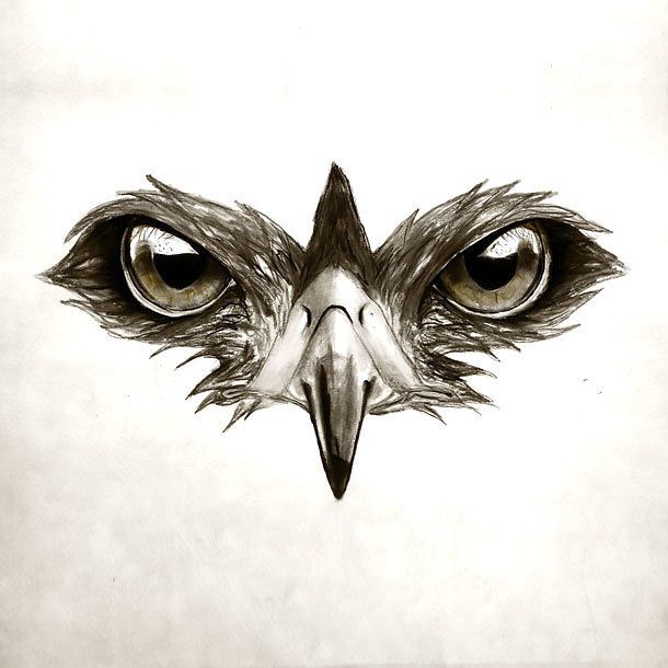 hawk tattoos for men 0040