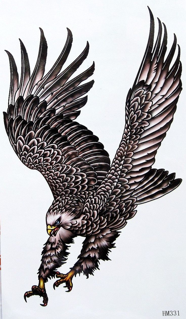 hawk tattoos for men 0046