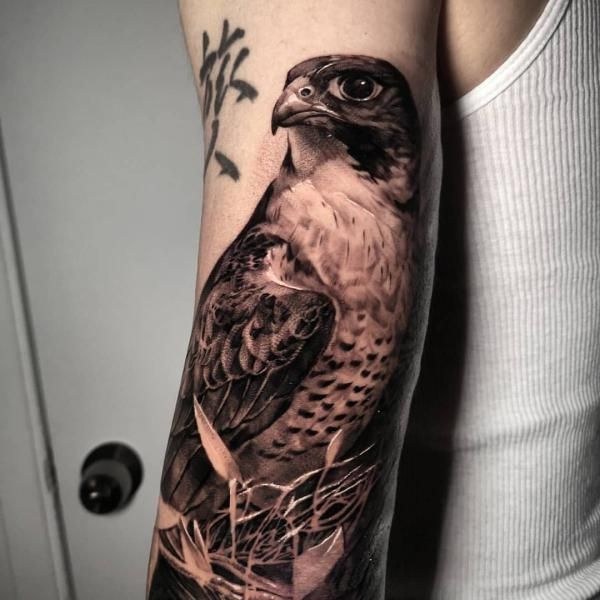 hawk tattoos for men 0080