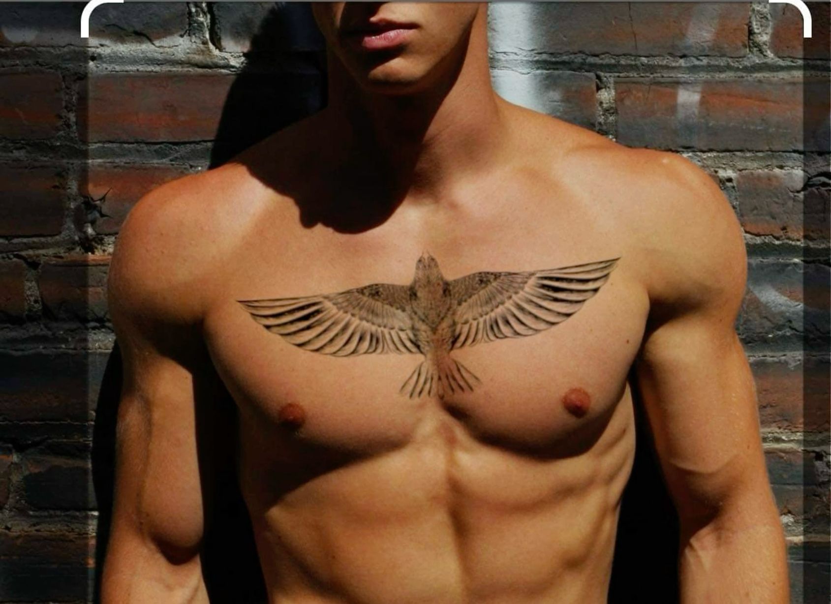 hawk tattoos for men 0095