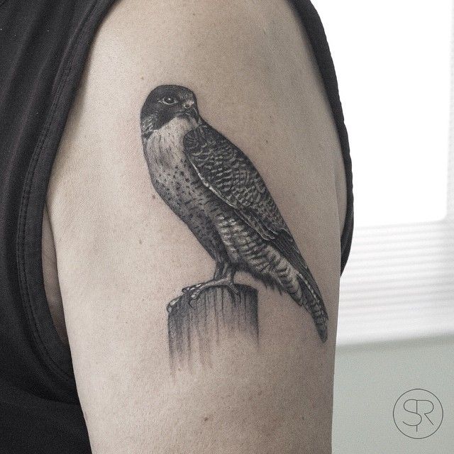 hawk tattoos for men 0097