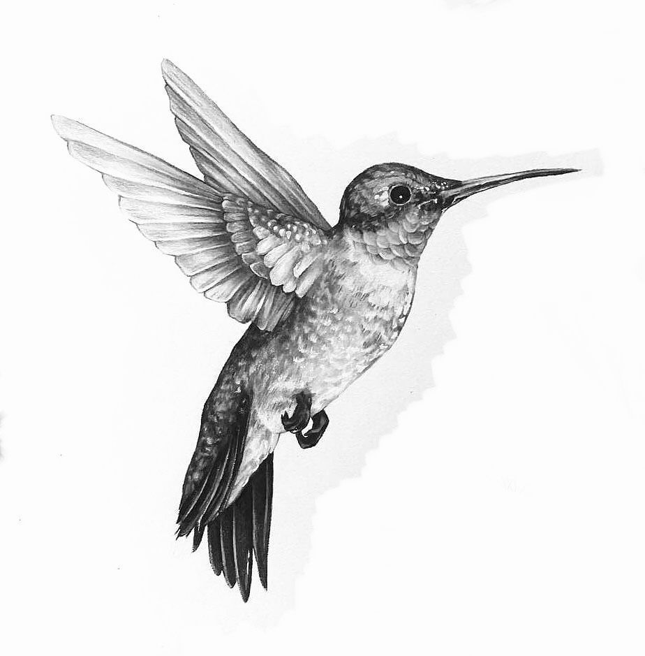 hummingbird tattoos for men 0045