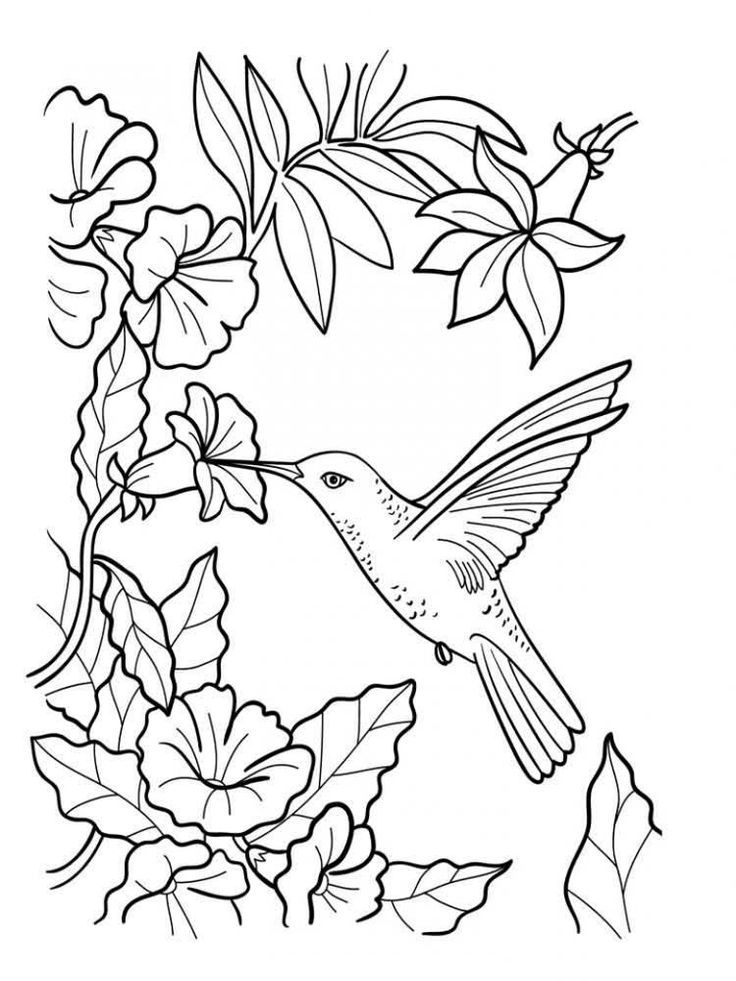 hummingbird tattoos for men 0055