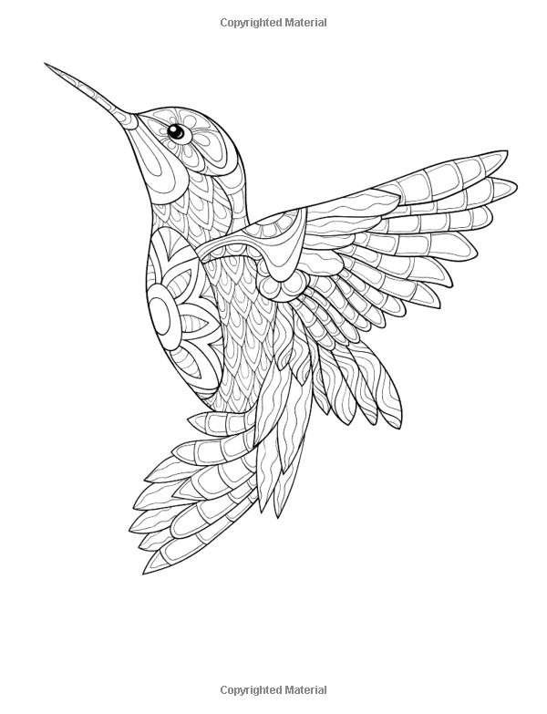 hummingbird tattoos for men 0060