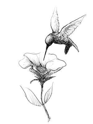 hummingbird tattoos for men 0072