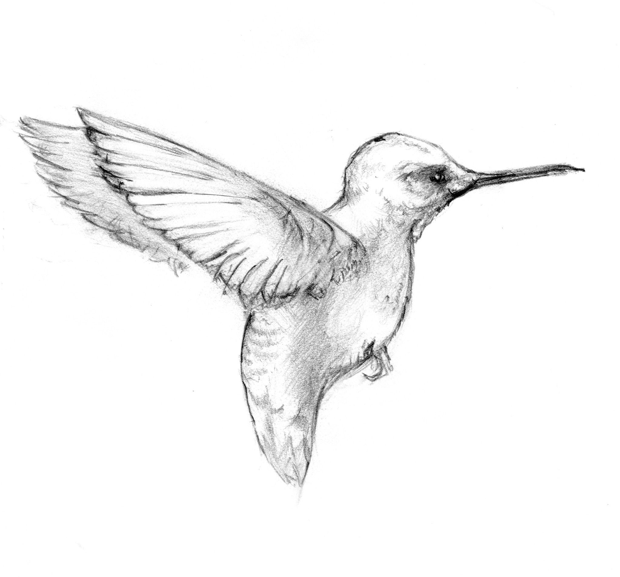 hummingbird tattoos for men 0095