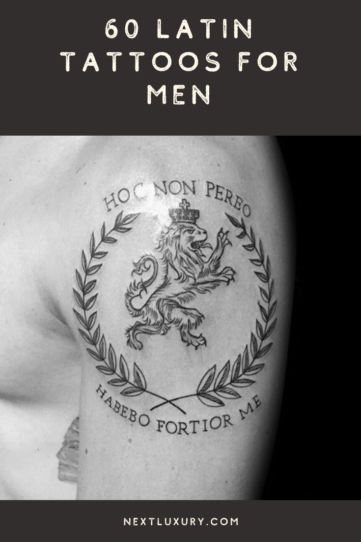 Latin tattoos for men meanings