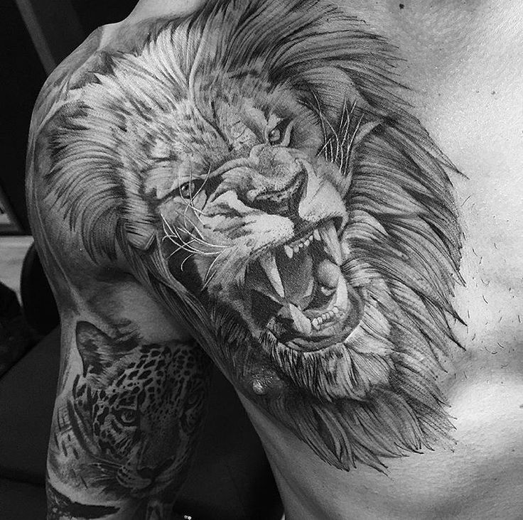 lion chest tattoos for men 0038